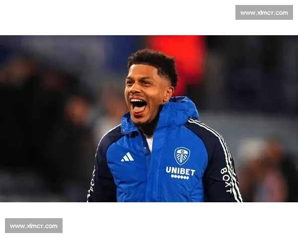 英超焦点战埃弗顿主场迎战利兹联保级形势再起巨大波澜走向悬念